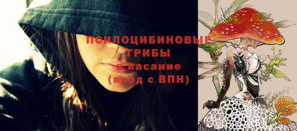 хмурый Алексеевка