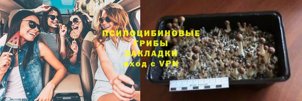 а пвп мука Алзамай