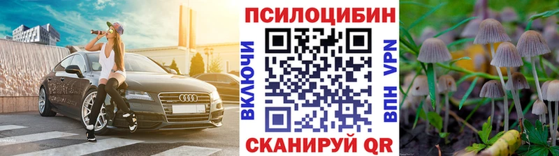 Псилоцибиновые грибы MAGIC MUSHROOMS Нестеров