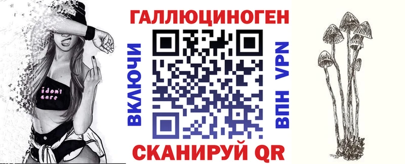 Галлюциногенные грибы Psilocybine cubensis  KRAKEN tor  Нестеров 